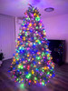 275cm Balsam Fir Christmas Flip Tree with Colour Changing Lights