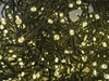 292 LED Natural White Christmas Fairy Lights