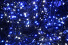 55M 600 LED Blue and White Christmas Fairy Lights