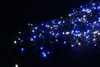 55M 600 LED Blue and White Christmas Fairy Lights