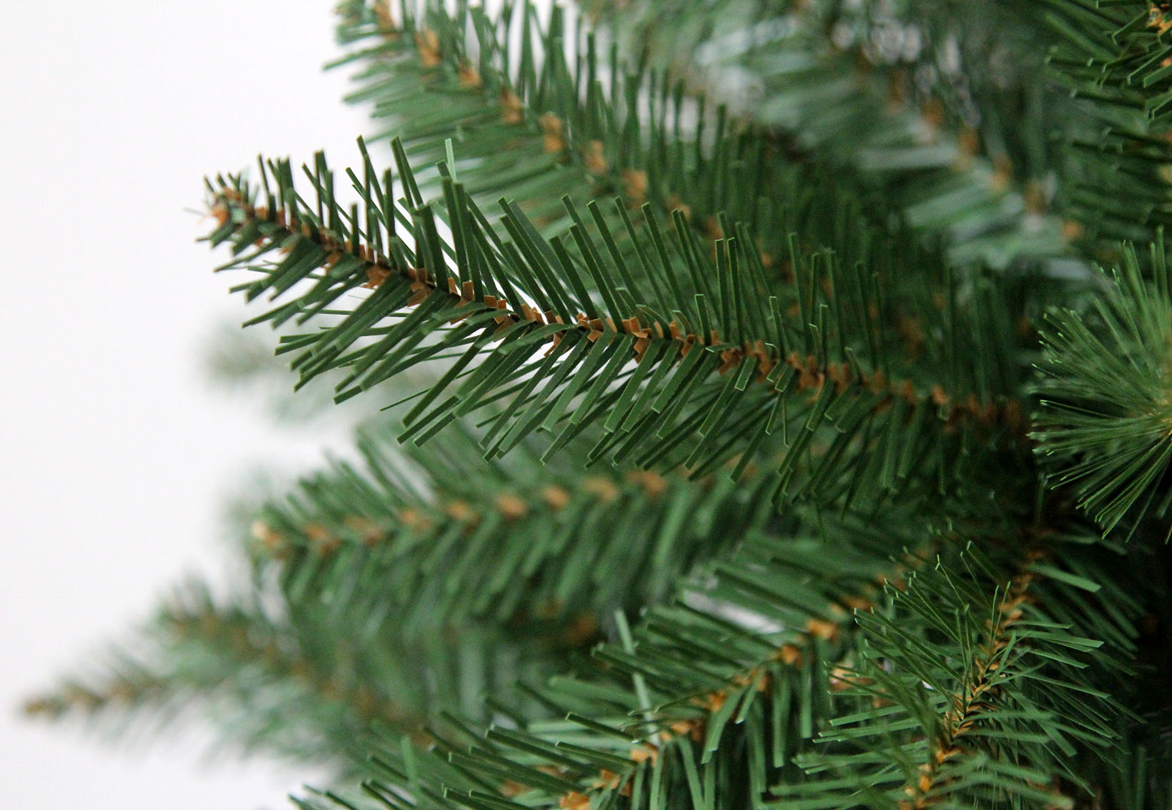 balsam-fir-tips1.jpg