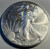 1 oz. Silver American Eagle (2013)