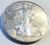 1 oz. Silver American Eagle (2015)