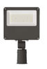 Flood Light