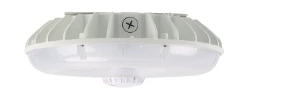 LED Canopy Light
