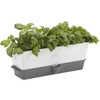  Cole & Mason H105349 Burwell Self-Watering Triple Potted Herb Keeper Pot 