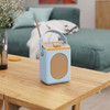  Majority LSHDABDUK - Little Shelford Portable DAB Radio with Bluetooth - Duck Egg | LSHDABDUK 