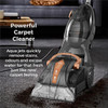 Tower T548003 TCW5 AQUAJETPLUS Carpet Washer with Allergen Removal | Rose Gold & Grey | T548003
