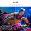 LG QNED83 55-inch QNED evo MiniLED 4K Smart TV (2026) | 55QNED83B6A.AEI