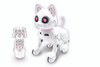  LexiBook My Programmable Smart Robot Cat | KITTY01 