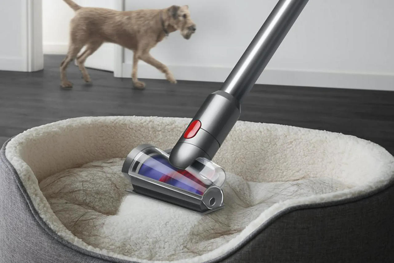 Dyson V12 Detect Slim Animal Vacuum | 369363-01
