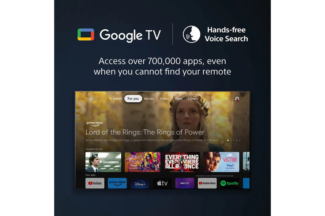 B Rafya Sony Bravia 65