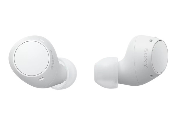 Sony WF-1000XM5 Wireless Noise Cancelling Headphones - Silver
