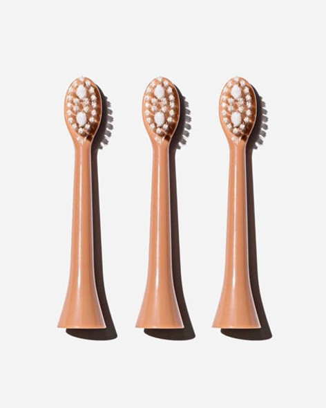 Spotlight Oral Care Sonic Toothbrush Replacement Heads in Rose Gold | ROSEGOLDHEADS