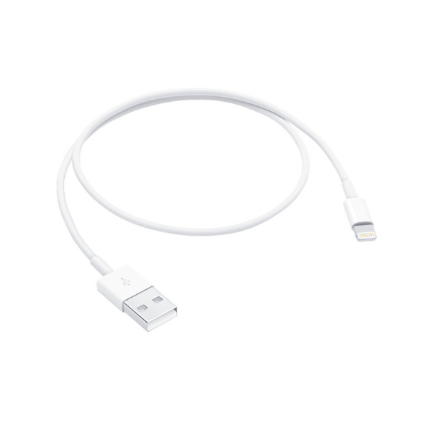  Apple Lightning to USB Cable (0.5 m) | ME291ZM/A 