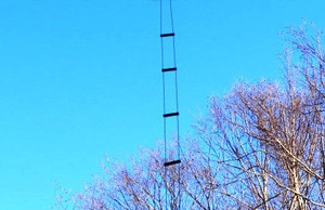 7FG True Ladder Line
    Nominal Impedance -- 600 OHMS with .98 Velocity Factor
    Little or No Change When Raining
    Spreaders -- Light Weight, Low Wind Loading, Long Life
    Wire -- 16 Gauge, 26 Strands, 100% Copper
    Handles Full Legal Limit Power
    Wire Spacing 3 1/2"
    In use Worldwide
    Thirty Year History of Reliability
    Made in USA
 7FG True Ladder Line
    Nominal Impedance -- 600 OHMS with .98 Velocity Factor
    Little or No Change When Raining
    Spreaders -- Light Weight, Low Wind Loading, Long Life
    Wire -- 16 Gauge, 26 Strands, 100% Copper
    Handles Full Legal Limit Power
    Wire Spacing 3 1/2"
    In use Worldwide
    Thirty Year History of Reliability
    Made in USA