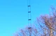 TrueLadderLine - True Ladder Line and Wire Antennas