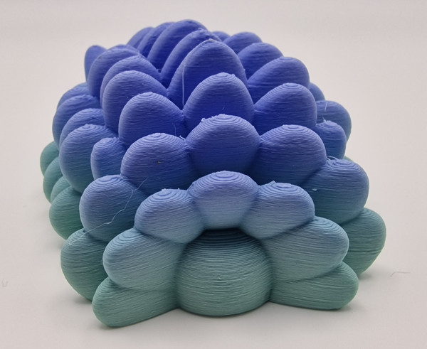 Baby Hedgehog  Fidget