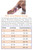 find your CareAline PICC sleeve size find your CareAline PICC sleeve size