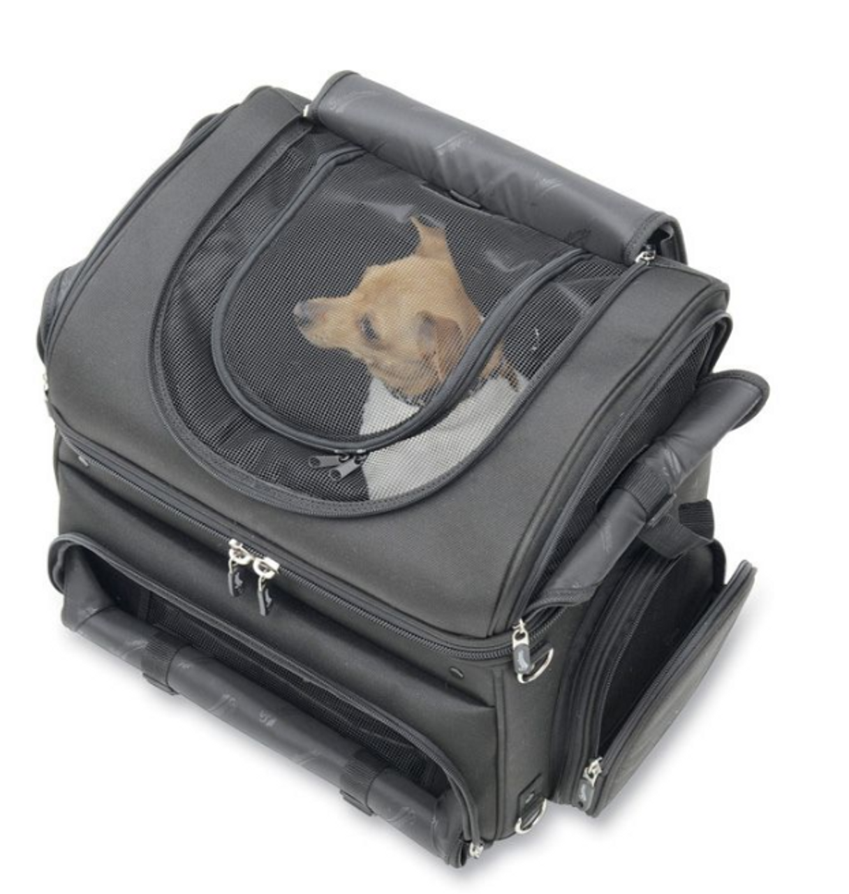 Sac de transport multifonction pour chien - ABC chiens