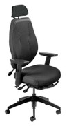 Ergonomic Executive Chair with Headrest \| airCentric 2 \| ergoCentric