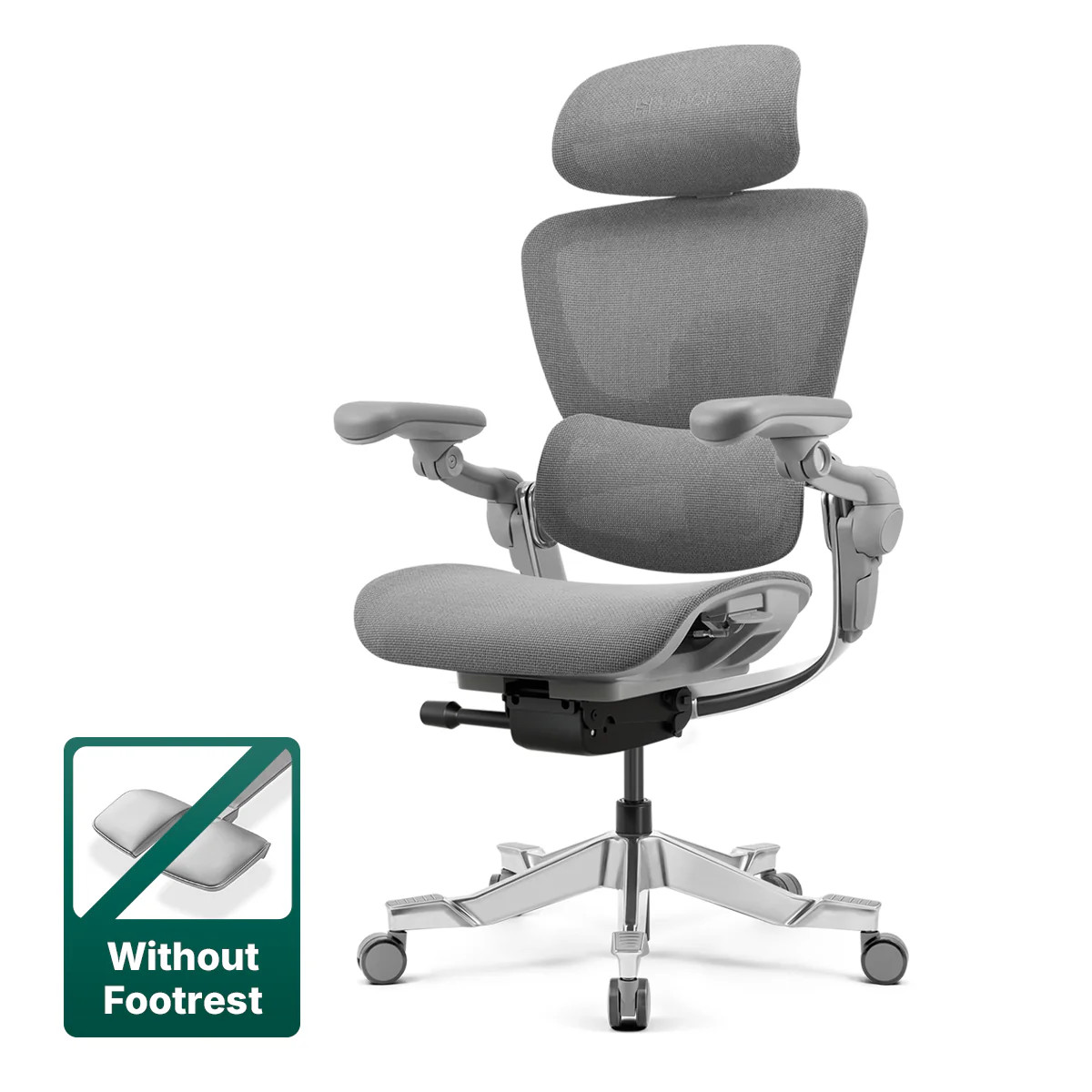 Hinomi H2 Pro Ergonomic Office Chair | Premium Comfort