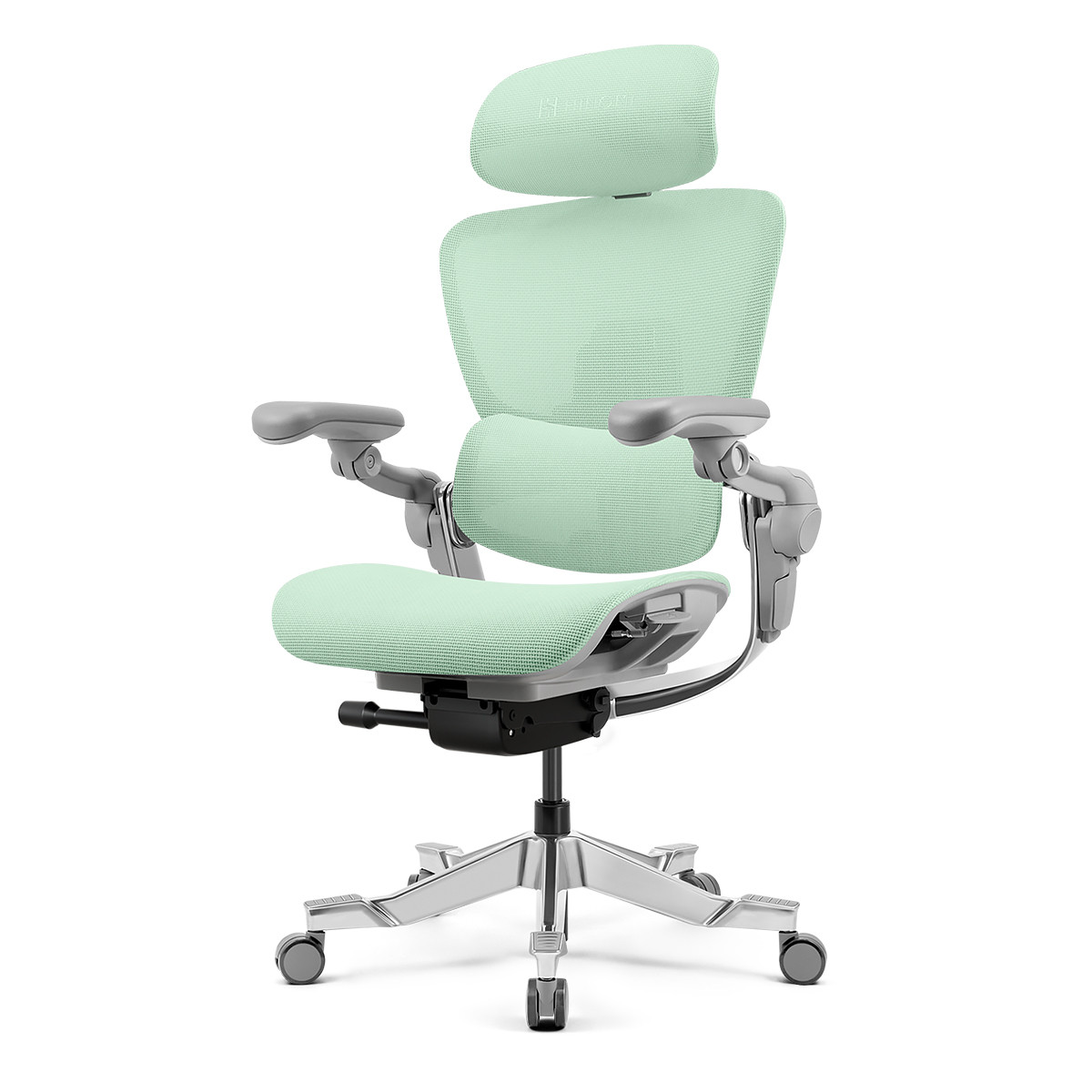 Hinomi H2 Pro Ergonomic Office Chair | Premium Comfort