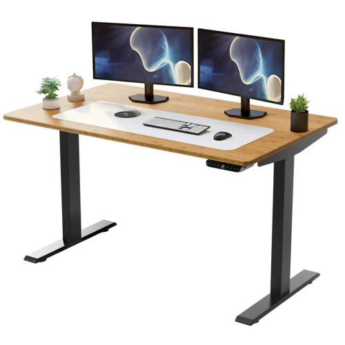 Rise Up Dual Motor Electric Standing Desk  and monitors 