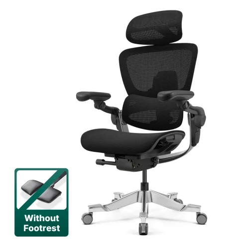 Hinomi H2 Pro ergonomic office chair in Black without footrest