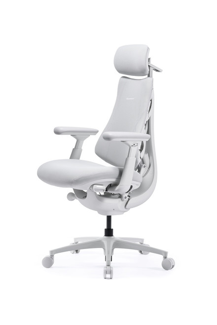 LiberNovo Omni Pro dynamic support system showing transparent backrest, adjustable headrest, armrests, lumbar mechanism, and recline components.