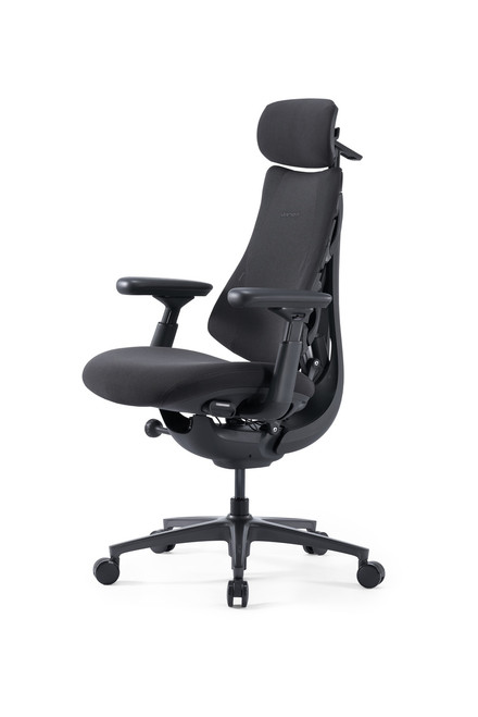 LiberNovo Omni Pro Graphite ergonomic chair with headrest, armrests, adaptive backrest, and five-star caster base.