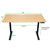 Uncaged Ergonomics Rise Up Dual Motor Electric Standing Desk - Bamboo