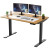 Rise Up Dual Motor Electric Standing Desk  and monitors 