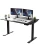 Rise Up Dual Motor Electric Standing Desk with black desktop, dual motors, and heavy-duty steel frame for home and office use.