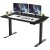 Rise Up Dual Motor Electric Standing Desk with black frame supporting a dual-monitor workstation for professional home and office use.