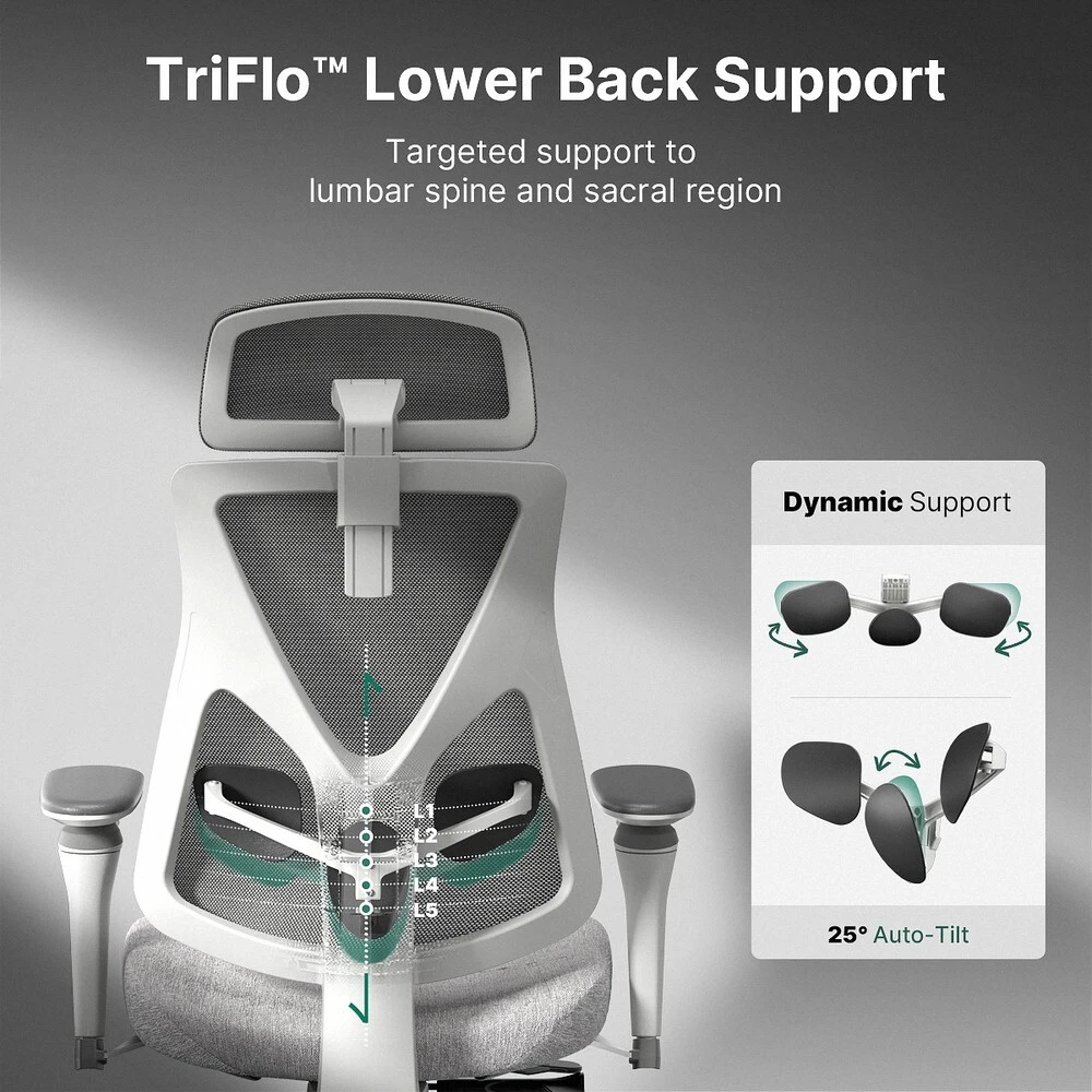 Hinomi D3 TriFlo lower-back support showing height adjustment and pivoting support pads