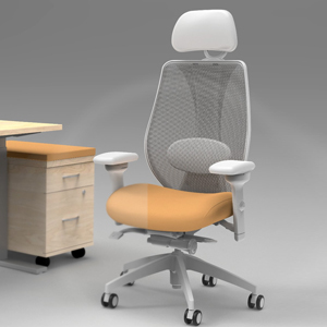 Ergonomic Office Chairs