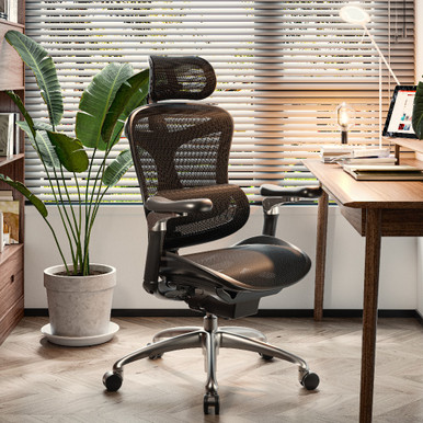 SIHOO DORO C300PRO 美品 SIHOO Doro C300 Pro Chair with Footrest | Ergonomic Mesh