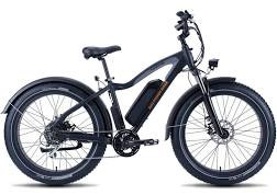 Generic Electric Bike