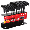 10pc T Handle Hex Key Set - Workforce