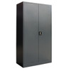 2 Door Lockable storage cabinet 