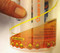 fill oil to level on slide scale and simply add it to your fuel