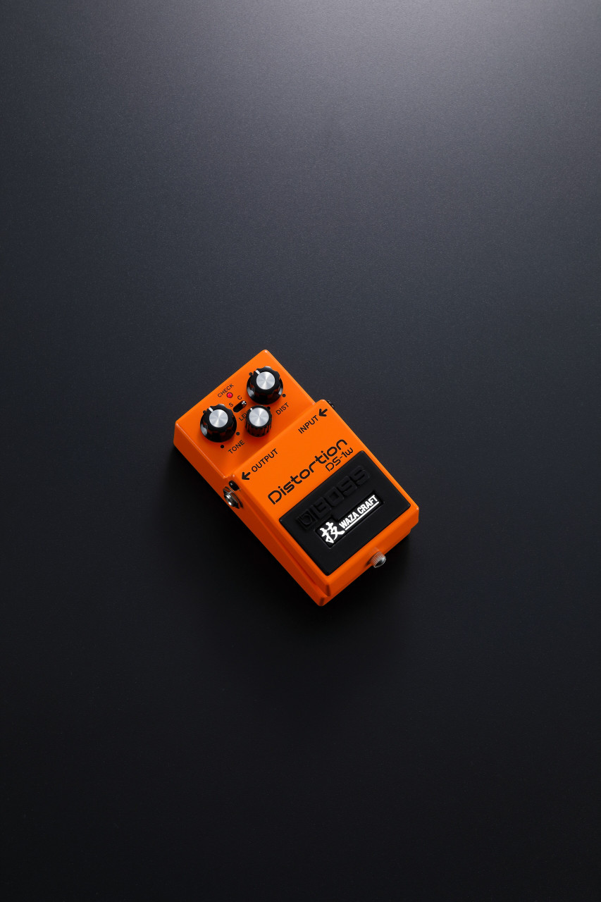 BOSS Waza Craft DS-1W Distortion Pedal | Northeast Music Center