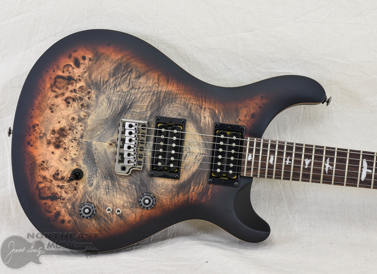 PRS SE custom (管理テ) M17811000002000-00-2000x2000.jpg