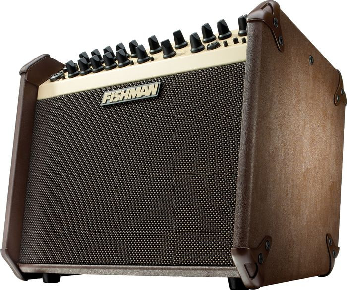 値下げしました！FISHMAN　LOUDBOX ARTIST Amplifier PRO-LBX-EX6 Fishman Loudbox Artist PRO-LBX-600 Acoustic Combo Amp | Northeast
