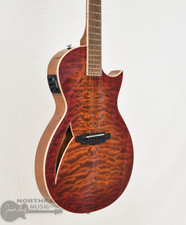 ESP LTD TL-6 Thinline Series Acoustic Electric Guitar Tiger Eye Burst Used (s/n: 3212) | Northeast Music Center Inc. 