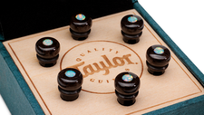 Taylor 7260-6 Bridge Pin Set, 5inch Taper, Bone, Brown w White Opal | Northeast Music Center Inc.