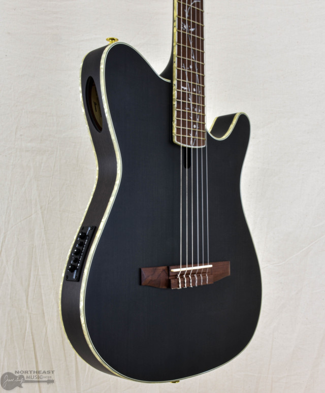 Ibanez TOD10N Tim Henson Signature Nylon Acoustic/Electric Guitar | Northeast Music Center Inc.