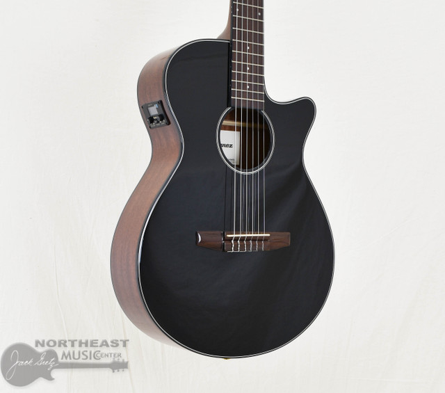 Ibanez AEG50NBKH Acoustic/Electric Nylon (s/n: 0678) | Northeast Music Center Inc.