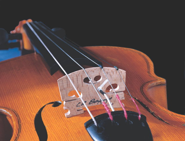 LR Baggs Violin Pickup with Carpenter Jack 
